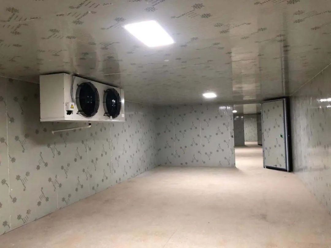忻府气调保鲜冷库造价